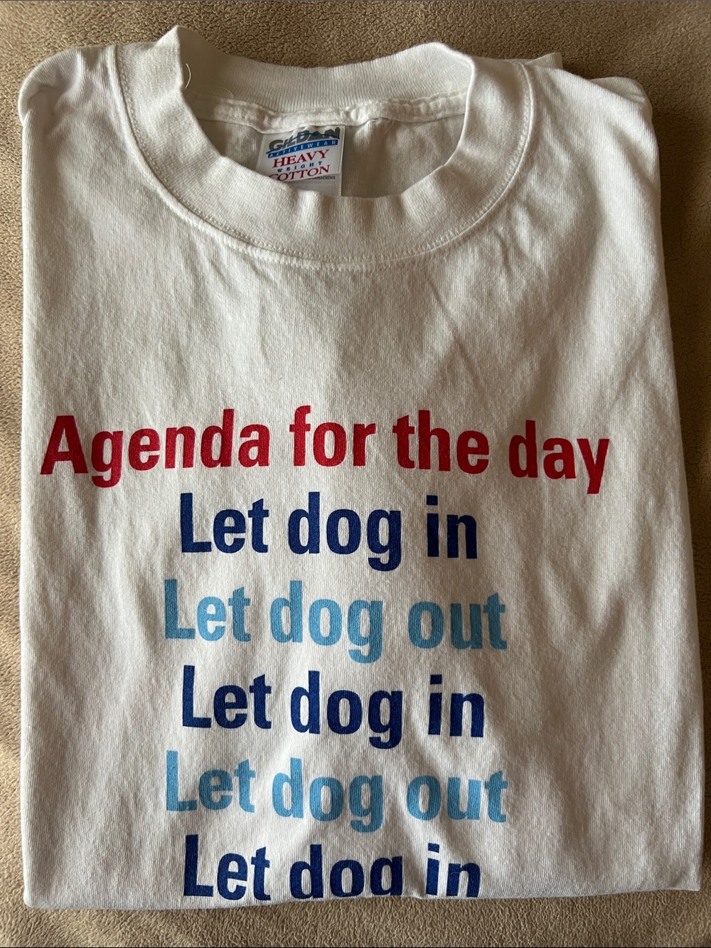 Gildan White Graphic Tee with Red and Blue 'Agenda for the day' Print